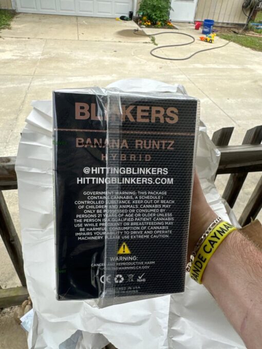 blinker 3.5 gram disposable