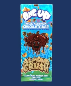 one up mushroom chocolate