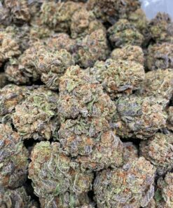 Guava Cake Strain